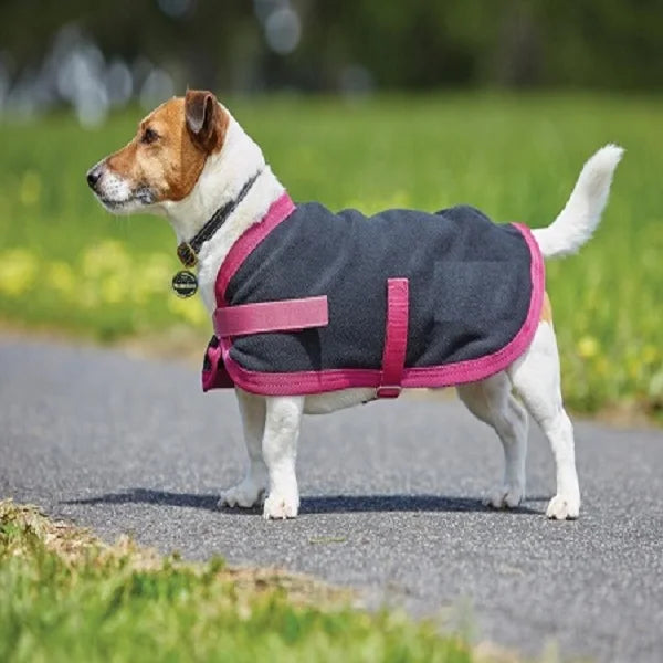 Warm Coat Jackets for Dog Shop a Range of Dog Coats Small Medium Large Size Waterproof