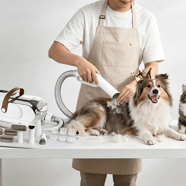 Pet Grooming Vacuum Kit Low Noise Pet Hair Vacuum Cleaner with Electric for Dogs Cats