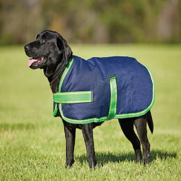 Warm Coat Jackets for Dog Shop a Range of Dog Coats Small Medium Large Size Waterproof