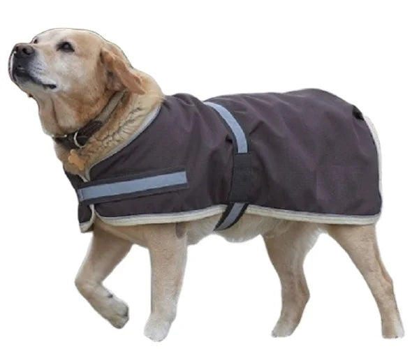 Warm Coat Jackets for Dog Shop a Range of Dog Coats Small Medium Large Size Waterproof
