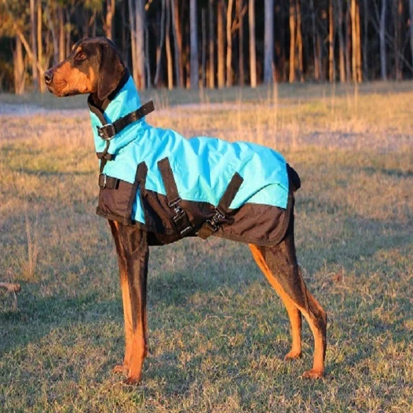 Warm Coat Jackets for Dog Shop a Range of Dog Coats Small Medium Large Size Waterproof