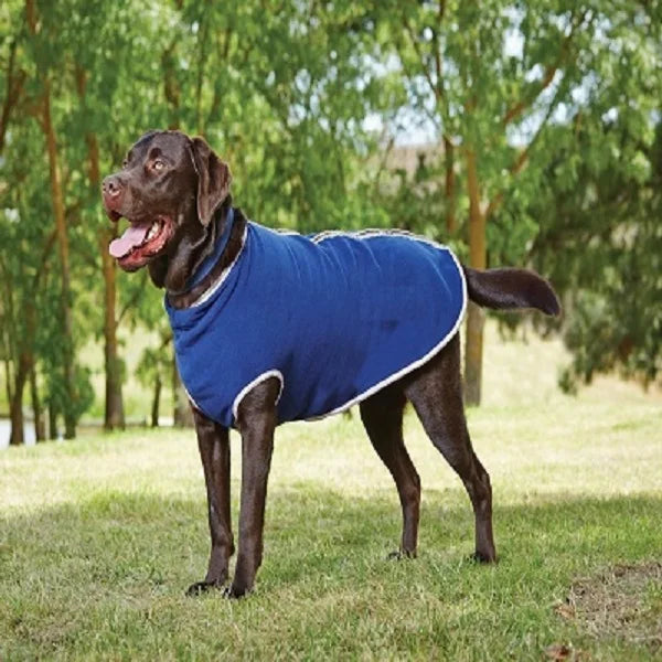 Warm Coat Jackets for Dog Shop a Range of Dog Coats Small Medium Large Size Waterproof