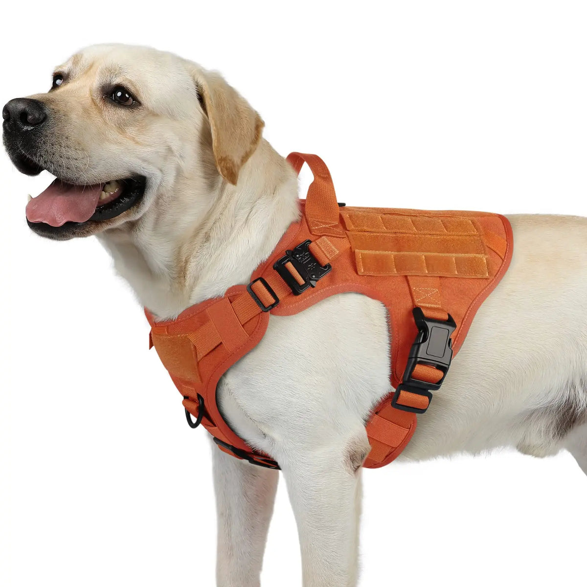 Large Size No-Pull Service Adjustable Dog Vest Harness for Training Hunting