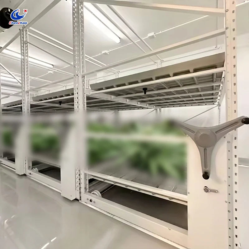 Chenchao Hydroponic System with ABS Trays, Vertical Propagation Rack and Greenhouse
