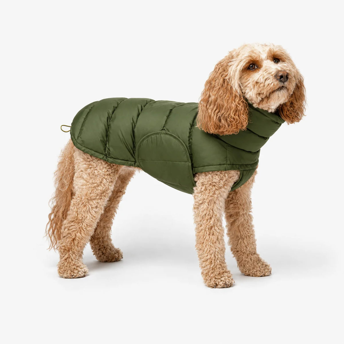 Waterproof Warm Quilted Outdoor Pet Jacket Adjustable Drawstring Winter Puppy Clothes Dog
