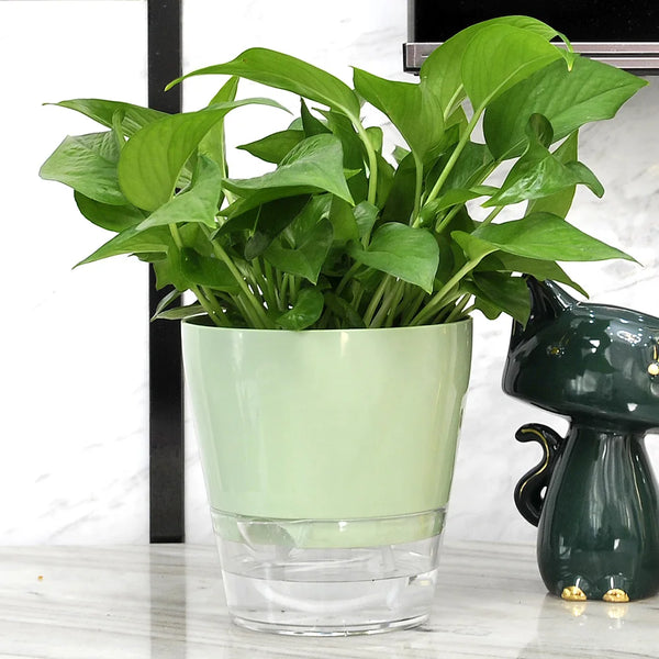 4Pack Bedroom Interior Self Watering Planter Easy Planters Indoor Plants Plastic Double