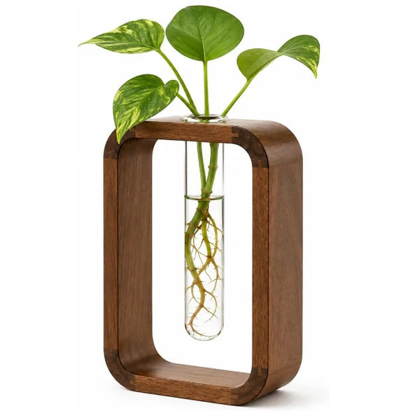 Minimalist Modern Indoor Wooden Frame Glass Vase Hydroponic Planter Wooden Propagation