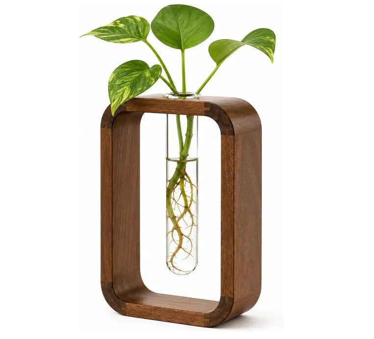Minimalist Modern Indoor Wooden Frame Glass Vase Hydroponic Planter Wooden Propagation