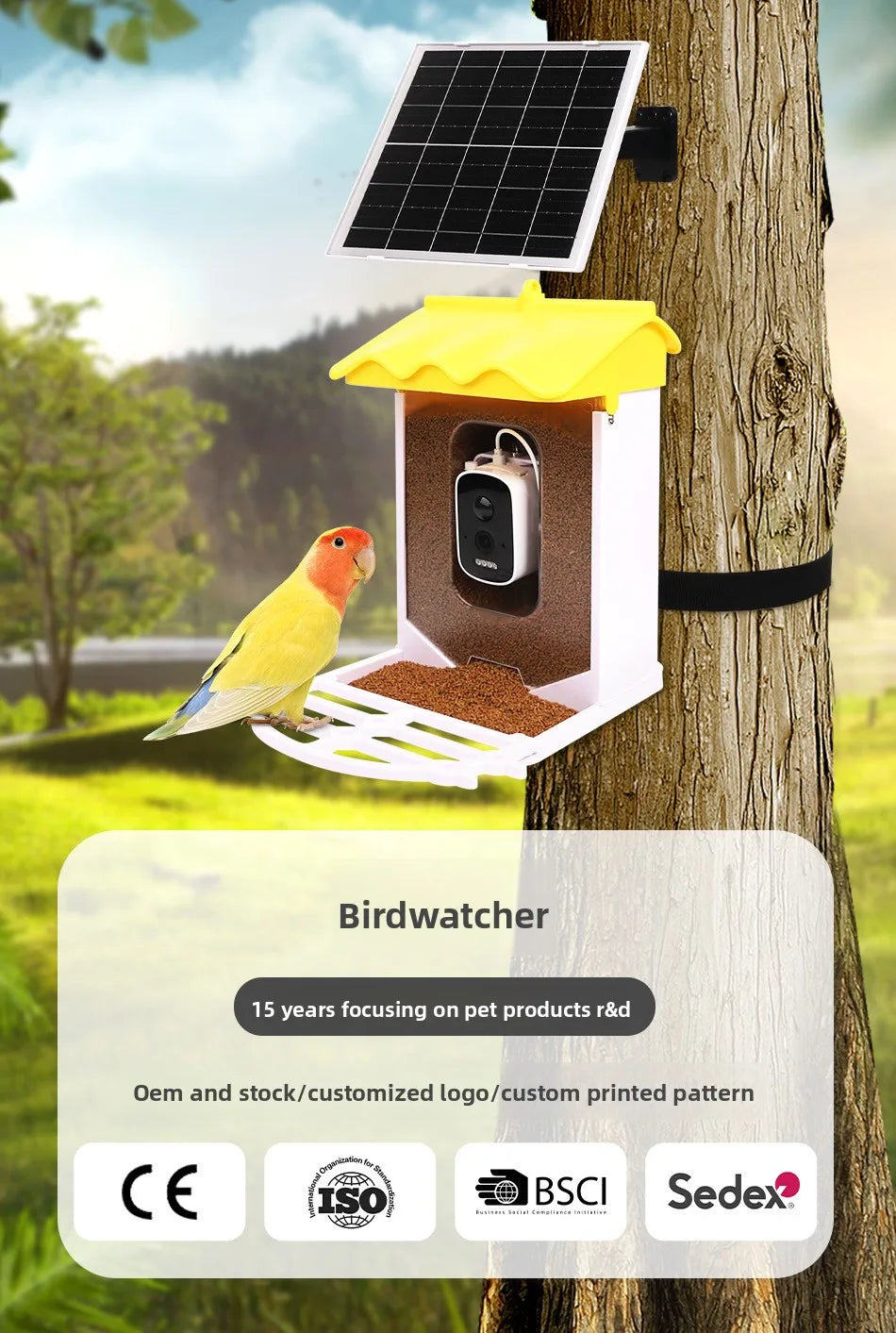 MQ Intelligent Bird Feeder with Live View Camera LCD Display ABS Material Waterproof