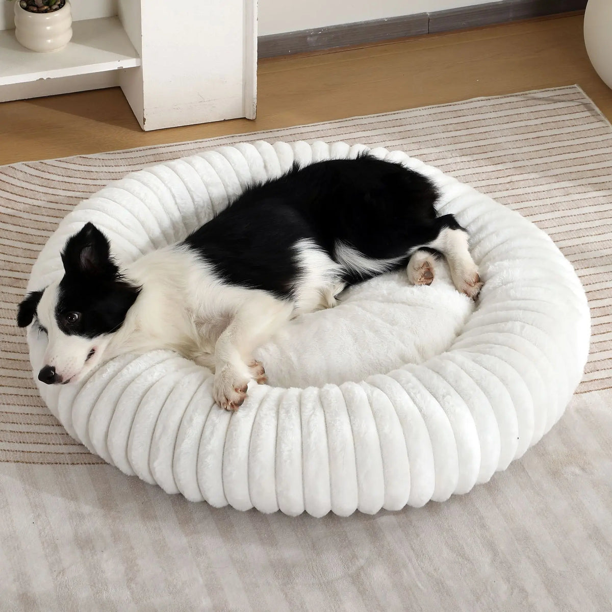 Plush Ribbed Round Solid Pattern Dog Bed Calming Donut Pet Cushion in Box/Carton