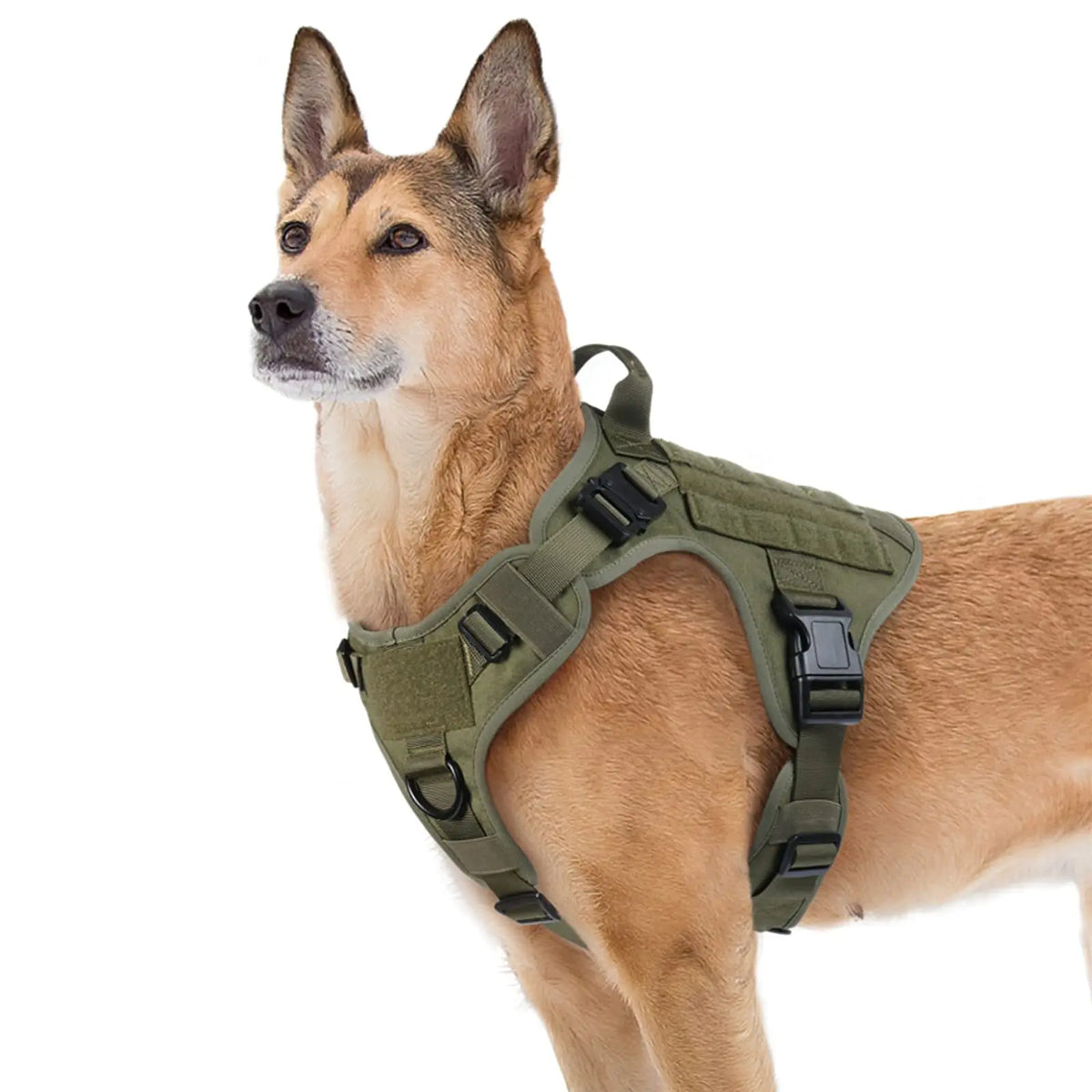 Large Size No-Pull Service Adjustable Dog Vest Harness for Training Hunting