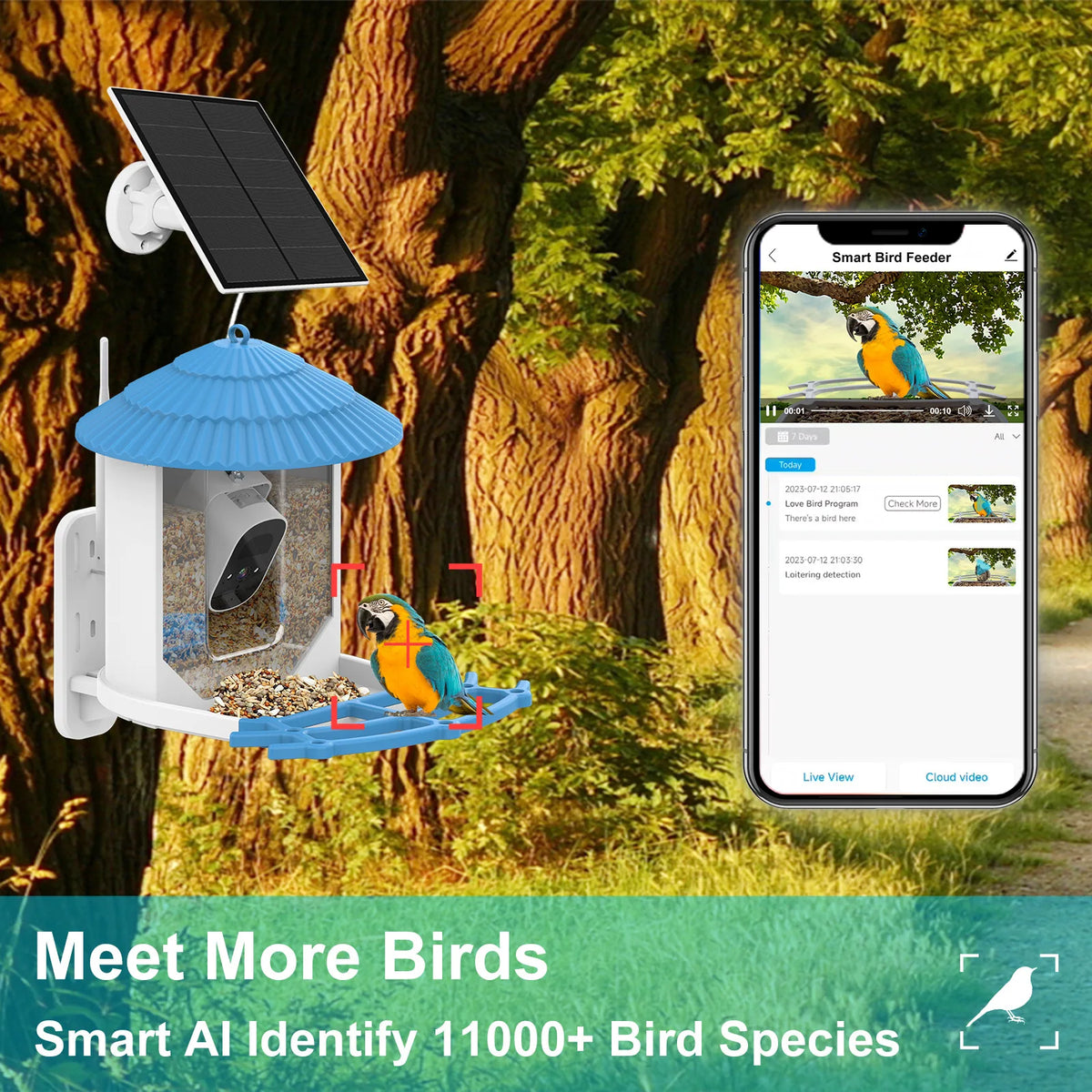 Automatic Smart Solar & Battery Powered Bird Feeder IPx6 Waterproof with Night Vision 4MP
