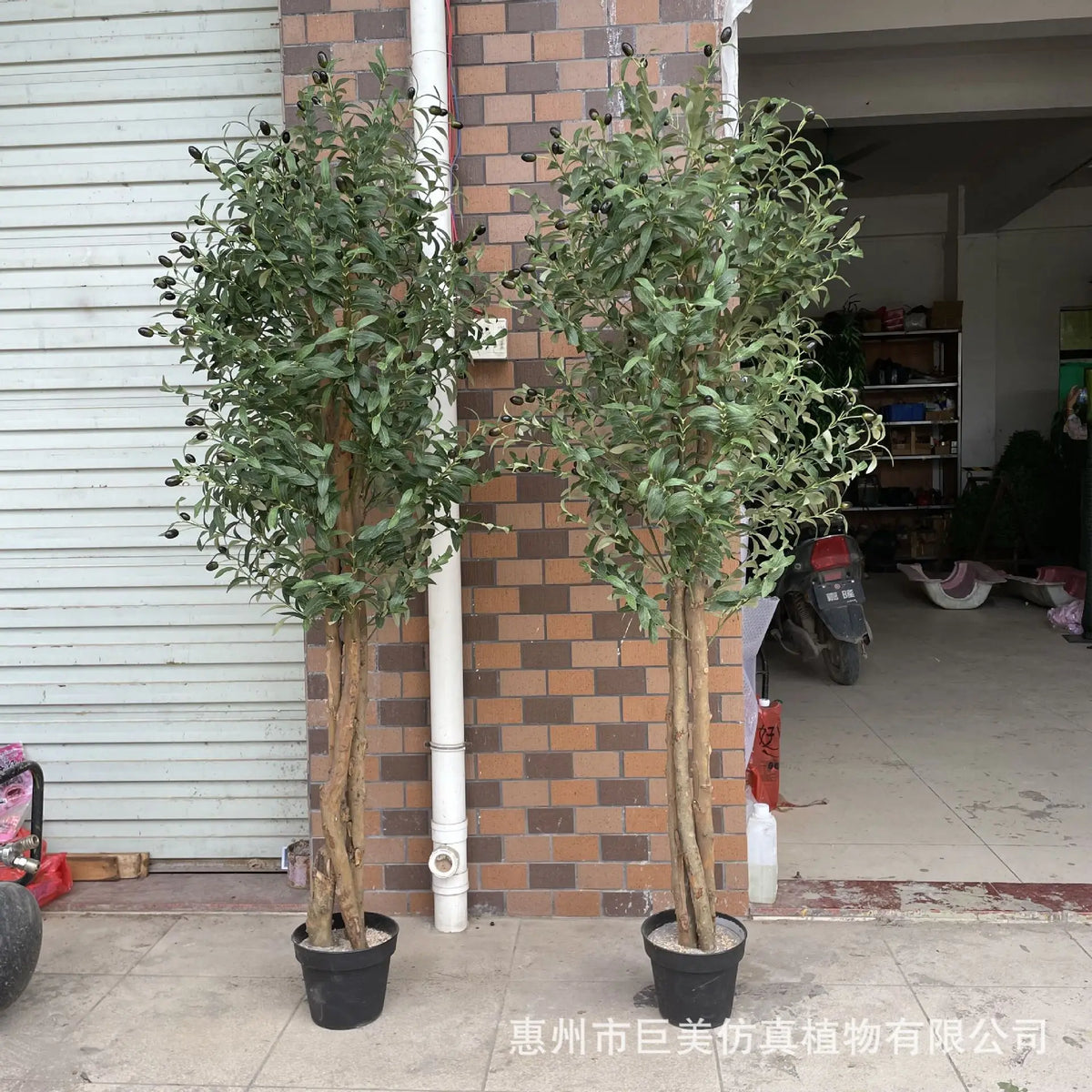 Artificial Olive Tree Bonsai Custom Size UV Resistant Faux Potted Olive Plant Indoor
