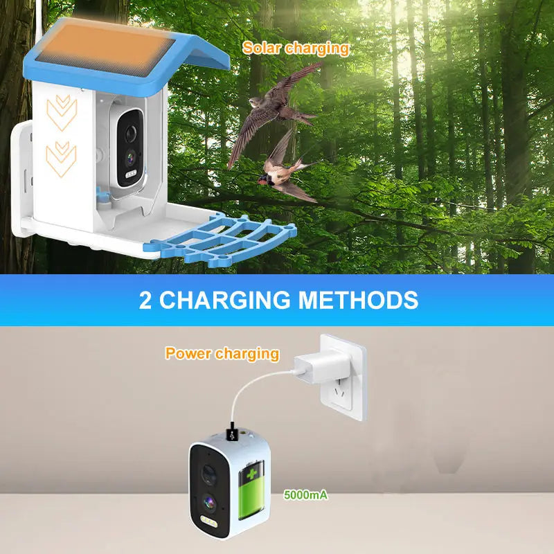 AI Recognition Automatic Bird Feeder Night Vision Camera Solar Panel Wireless Outdoor