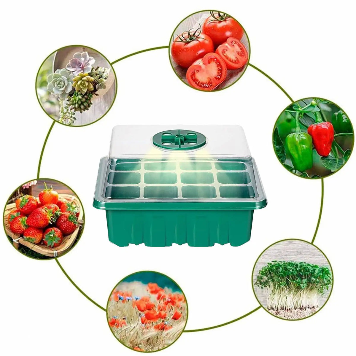 5Pack Seed Starter Tray With Grow Lights Seedling Kit Plant Humidity Domes Indoor