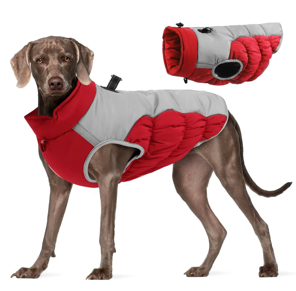 Zheng Xin Warm Winter Polyester Dog Coat Waterproof Jacket Vest Reflective Puppy Apparel