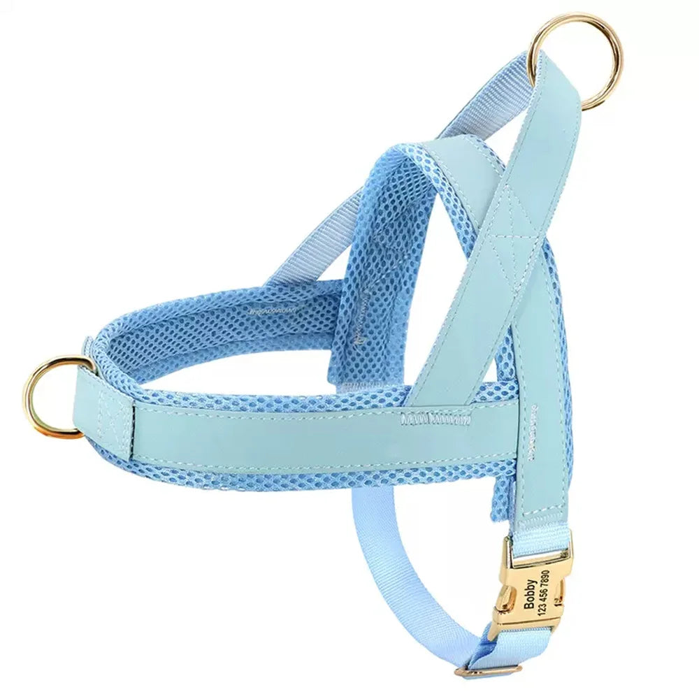 Fashion Dog Vest Harness No Pull Nylon Adjustable Mesh Padded Pet Harness and Leash Set