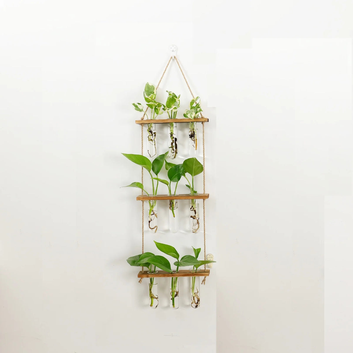 Glass Propagation Station with Wooden Stand for Hanging
