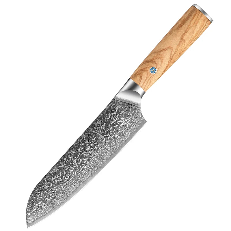 Professional Damascus 8inch Chef Knife Set VG10 Steel With Kiritsuke Santoku Paring