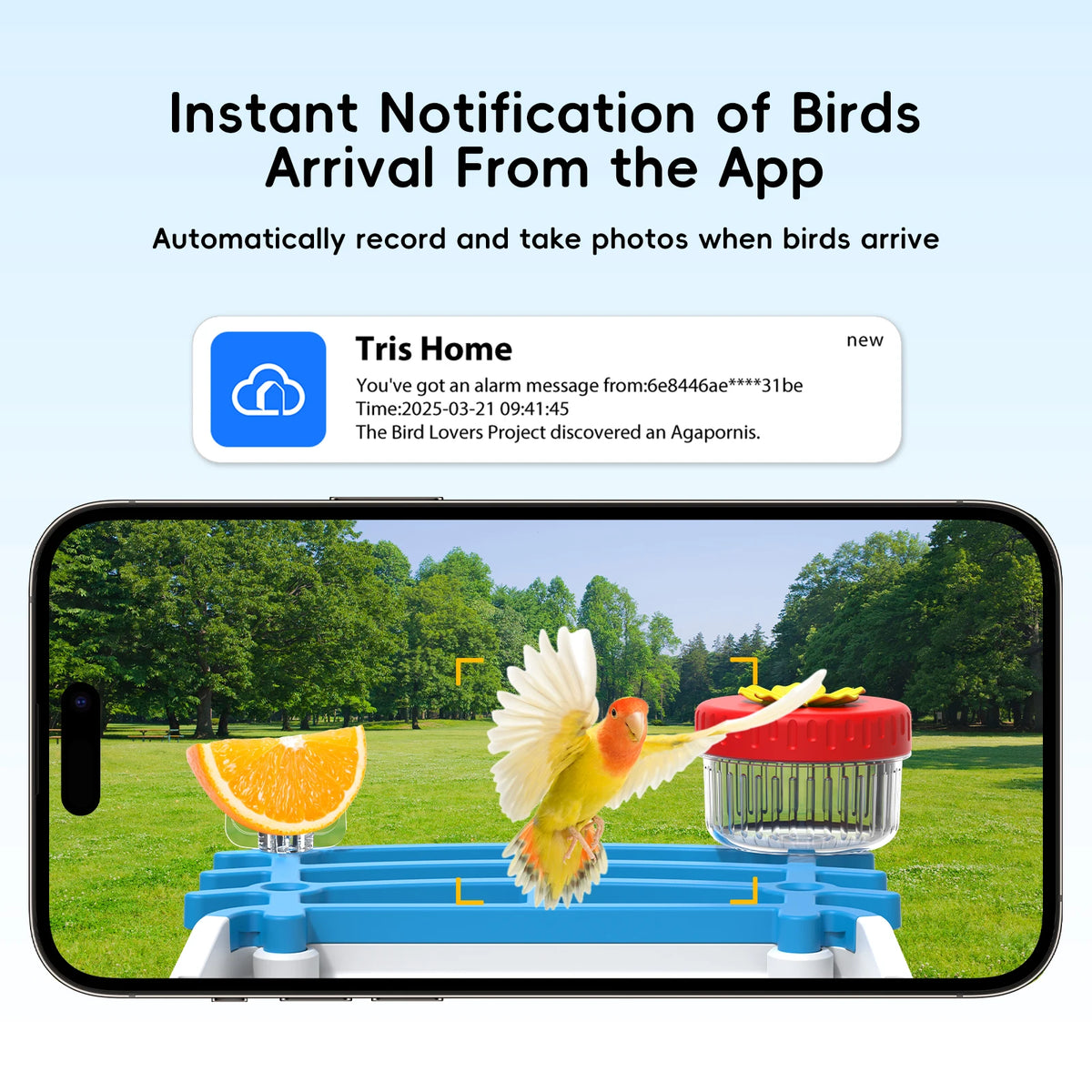 Smart Solar Bird Feeder With 5MP Night Vision Cam Auto Bird Video Recording APP Monitor