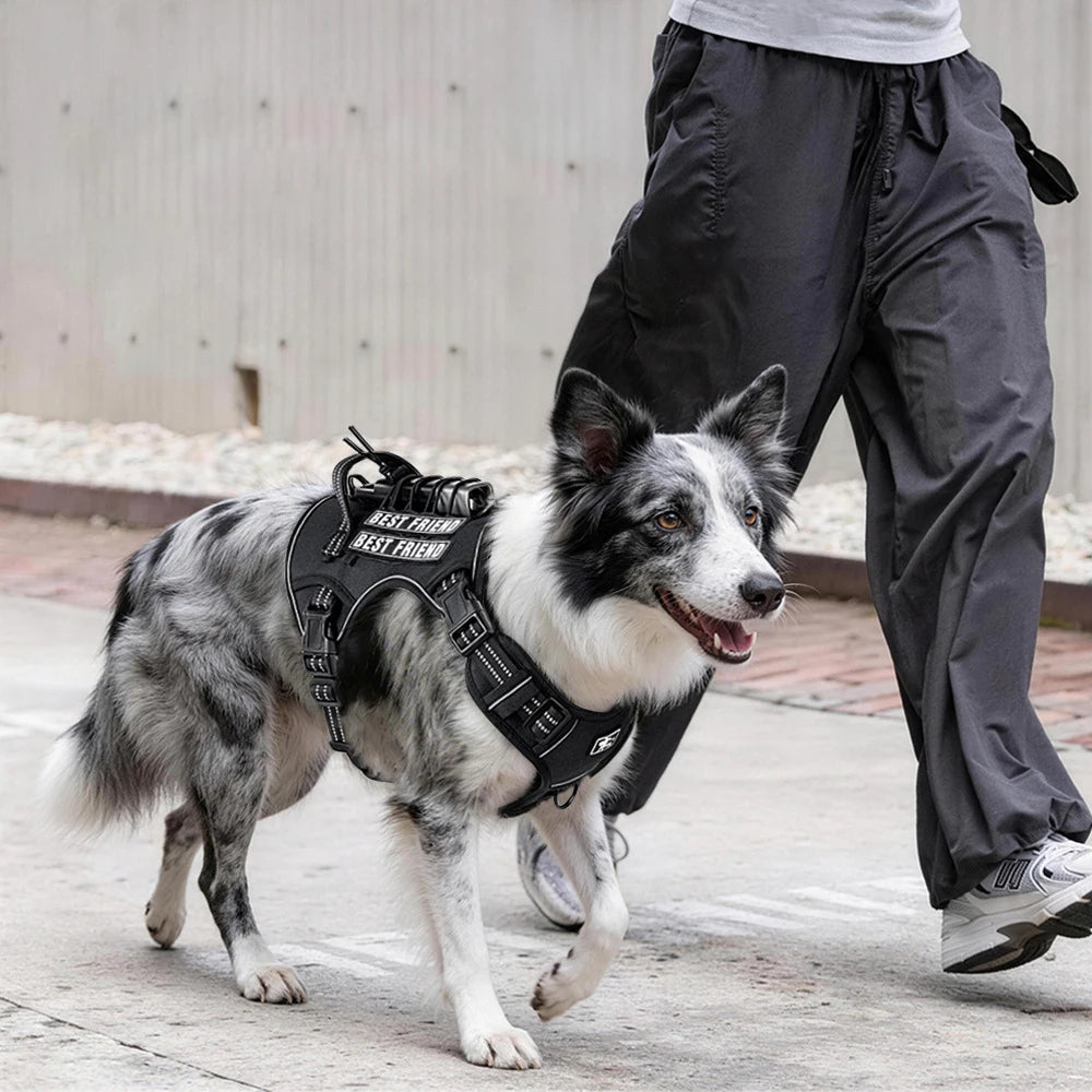 Multifunctional Tactical No-Pull Harness for Large Dog Outdoor Training