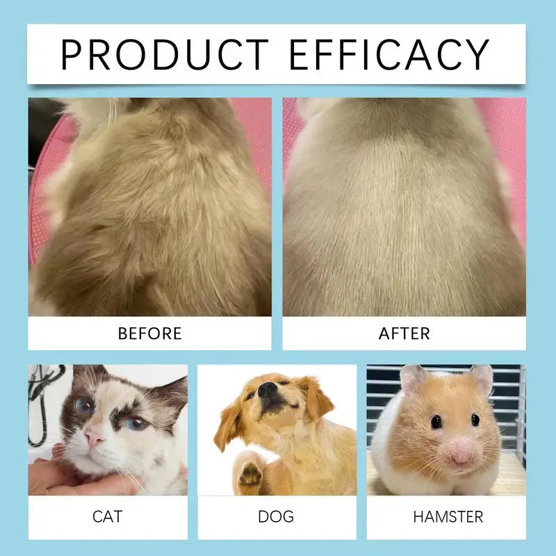 Pet Detangling Spray Hair Care Spray for Dogs Cats Detangling Coat Care Softening