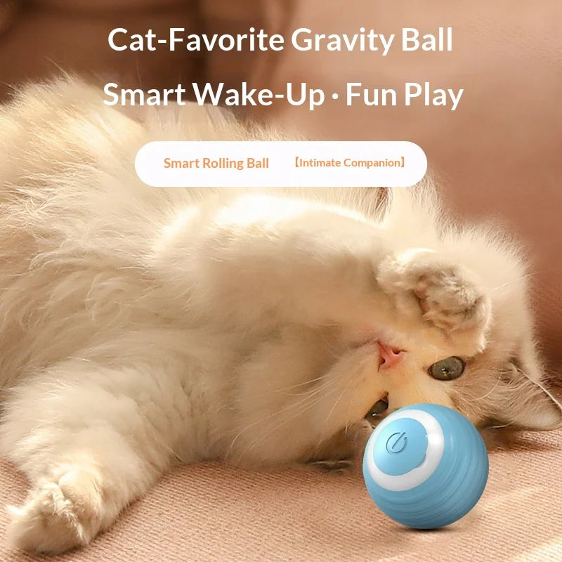 Electric Automatic Modern TPR Bite-Resistant Bouncing Ball Chew Toy