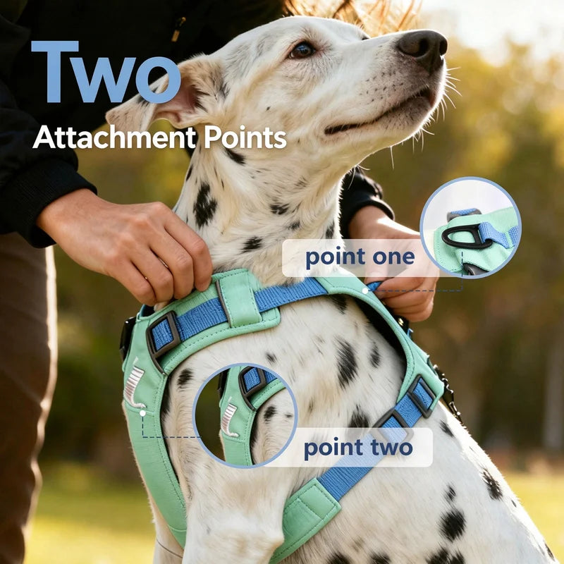 Lightweight Polyester Adjustable Reflective No-Pull Dog Harness for Medium & Large Dogs