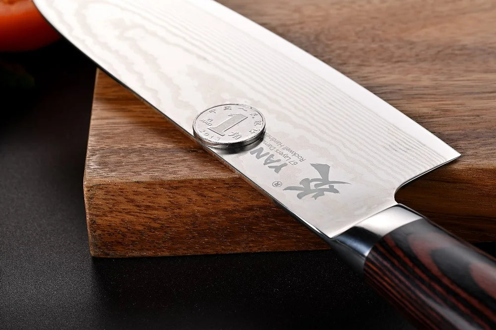 Professional Japanese Kitchen Chef Knife 67 Layers Damascus Steel VG10 Core 8 Inch Chef