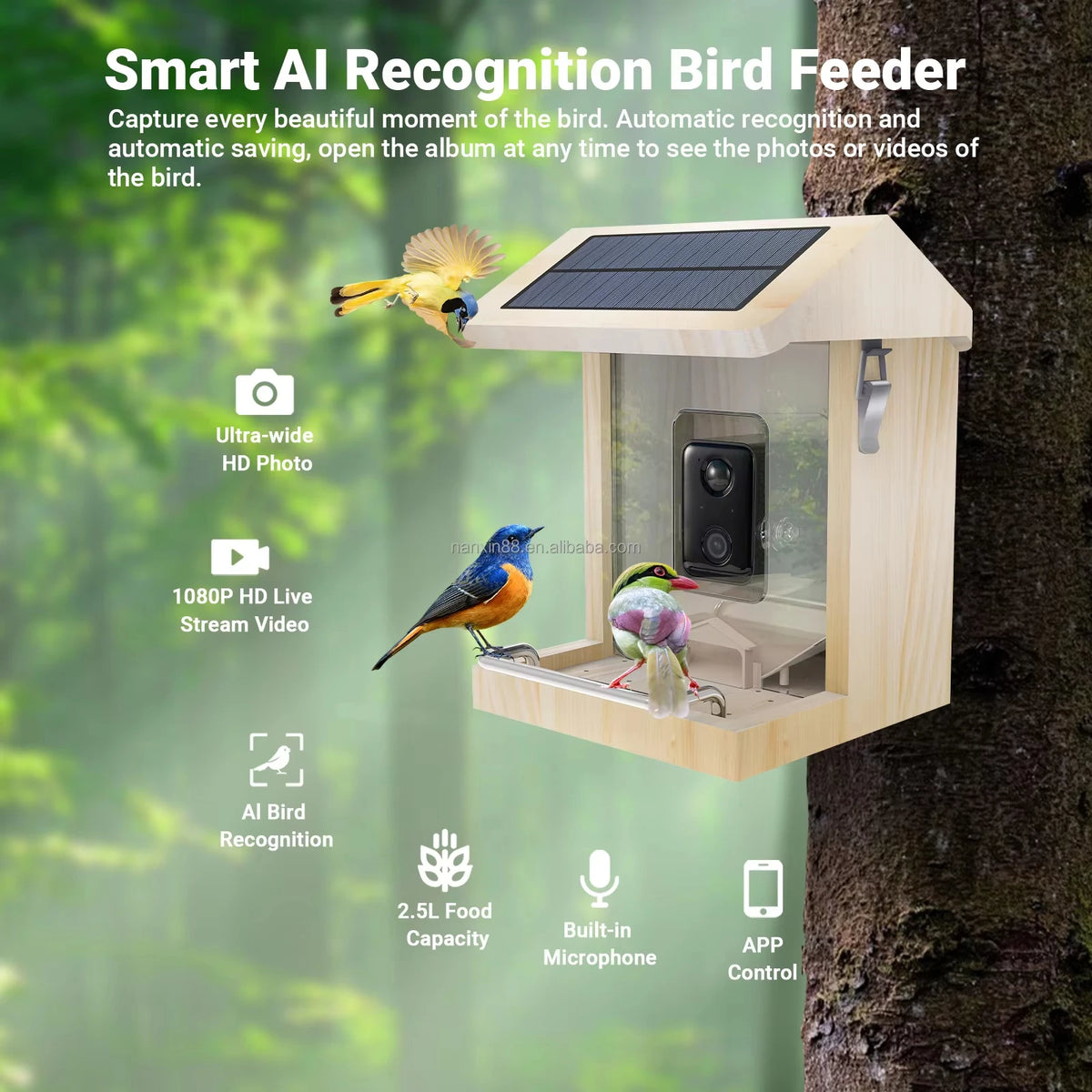 Smart Wooden Bird Feeder with Camera Waterproof Bird Camera with Solar Panel AI