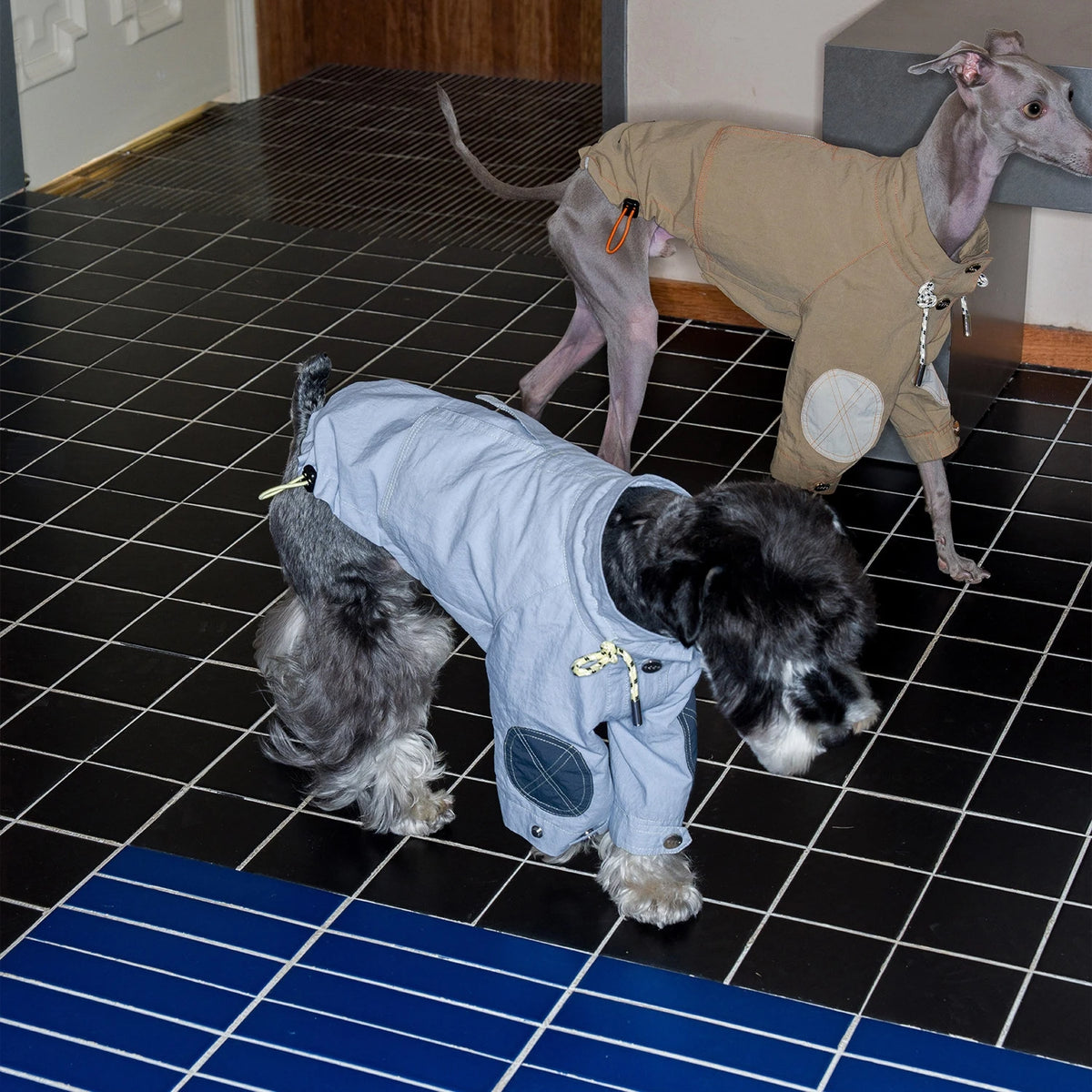 Retro Waterproof Cotton Dog & Cat Raincoat Windbreaker High Collar Adjustable Lightweight