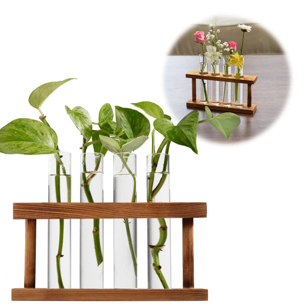 D'Eco Set 4 Glass Plant Propagation Tubes Wooden Display Hydroponics Grow Station