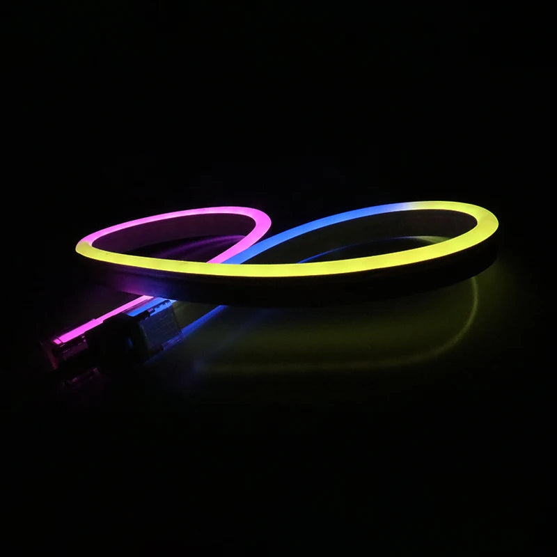 12x20mm Outdoor IP67 Silicone LED Neon Flex DC24V DMX512 RGB/RGBW/SMD5050 10-Year