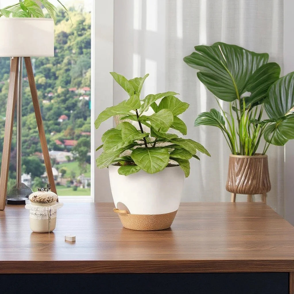 5 Pack Eco-Friendly Self-Watering Plastic Flower Pots with Drainage Holes for Home Garden