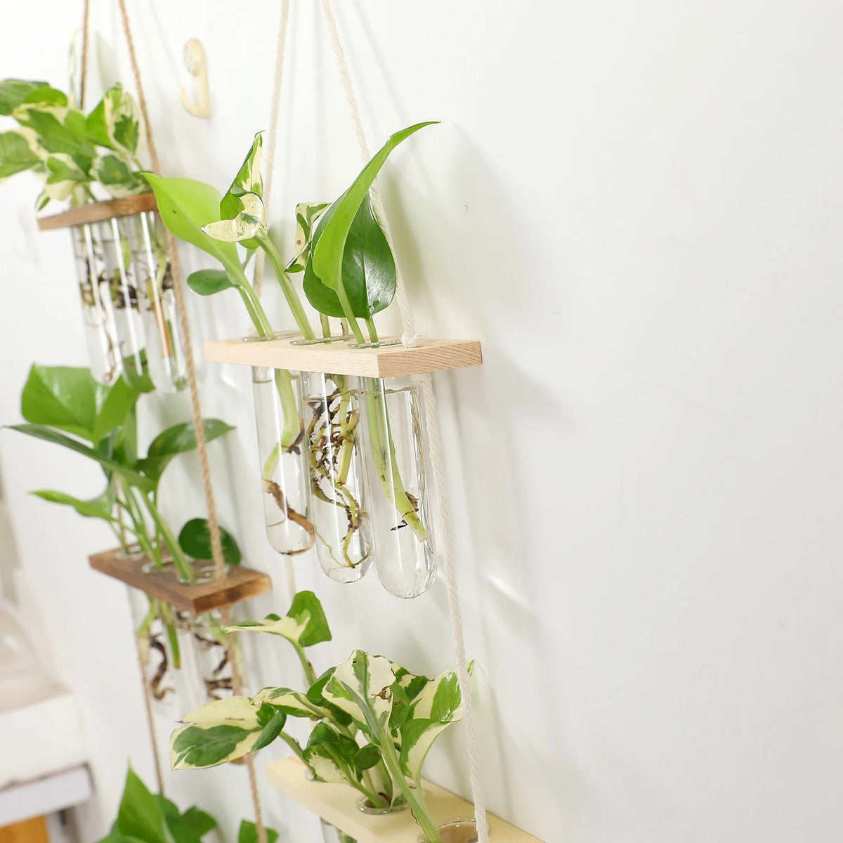 Glass Propagation Station with Wooden Stand for Hanging