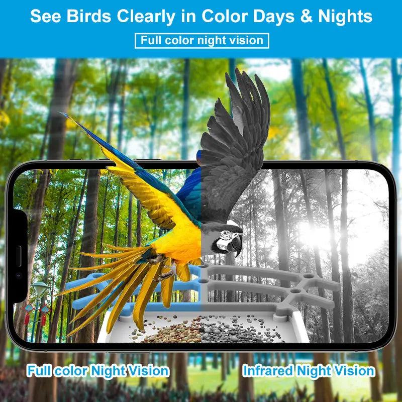 AI Recognition Automatic Bird Feeder Night Vision Camera Solar Panel Wireless Outdoor