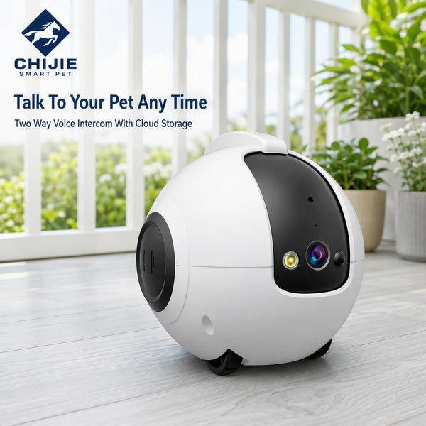 Modern Interactive Cat Dog Toy Smart Robot Camera Mobile Pet Companion with Teaser Night