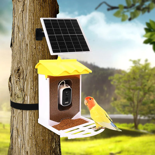 Smart 3.2L Squirrel-Proof Bird Feeder with Automatic Motion Detection Outdoor Wireless