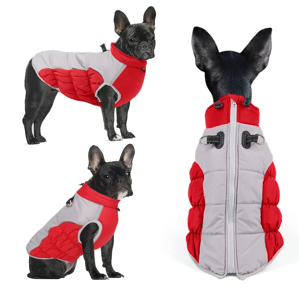 Winter Dog Cotton-Padded Windproof Windbreaker Jacket Sporty Style Warm for Medium