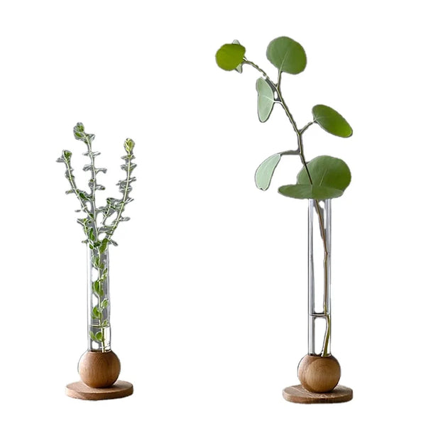 Plant Propagation Station Terrarium Glass Propagation Stations Wooden Base Planter Tubes