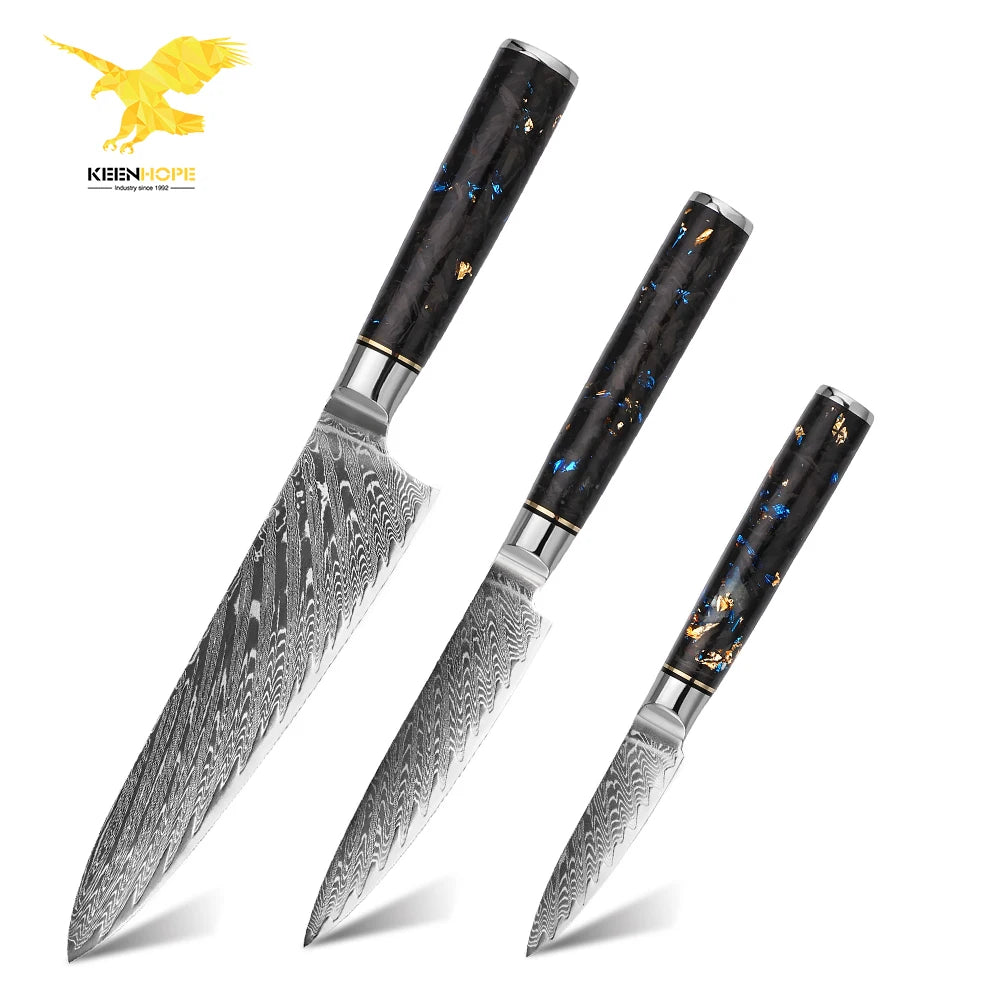 Professional Japanese 3PCS/Set Kitchen Chef Knife 67 Layers Damascus Steel VG10 Composite