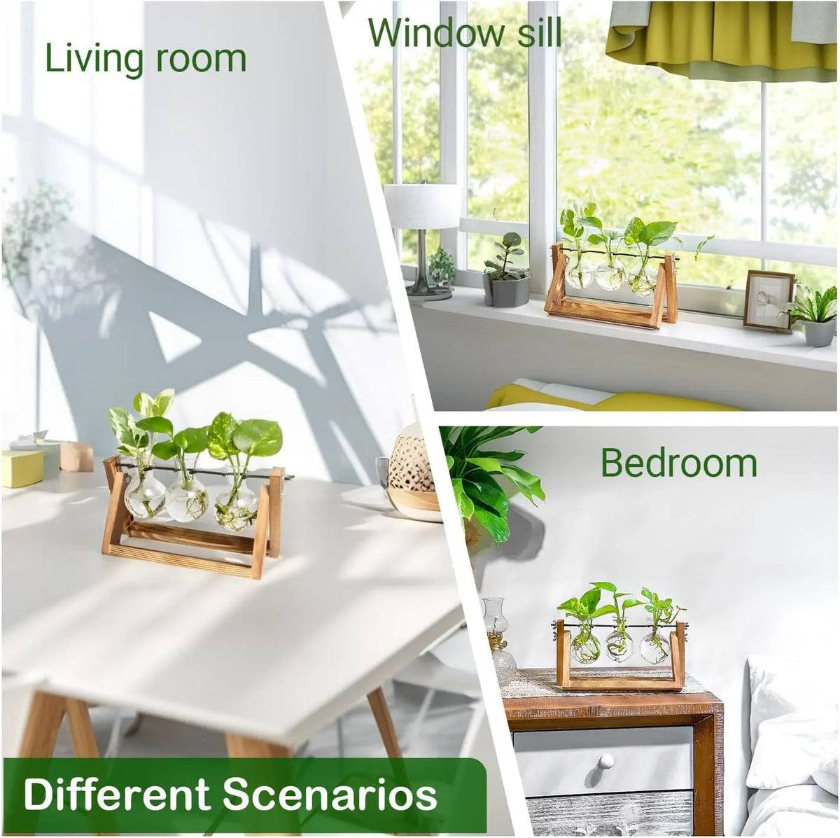 Flower/Green Plant Vietnam Propagation Stations with Pine Wood Stand Eco-Friendly Round