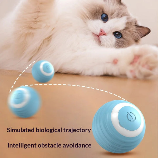 Electric Automatic Modern TPR Bite-Resistant Bouncing Ball Chew Toy