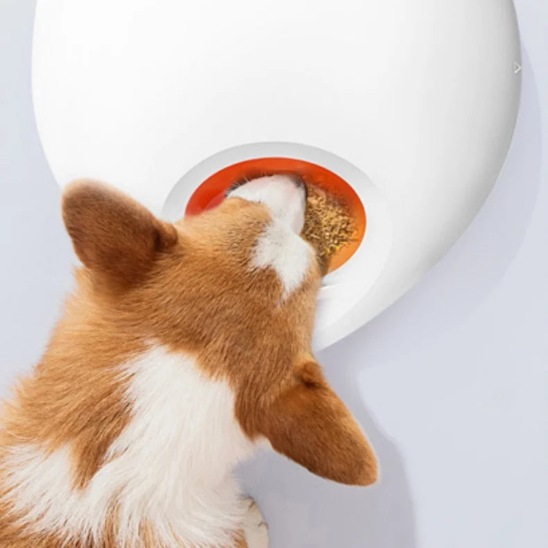 Smart Automatic Pet Feeder for Wet and Dry Food App Control Ice Packs for Freshness
