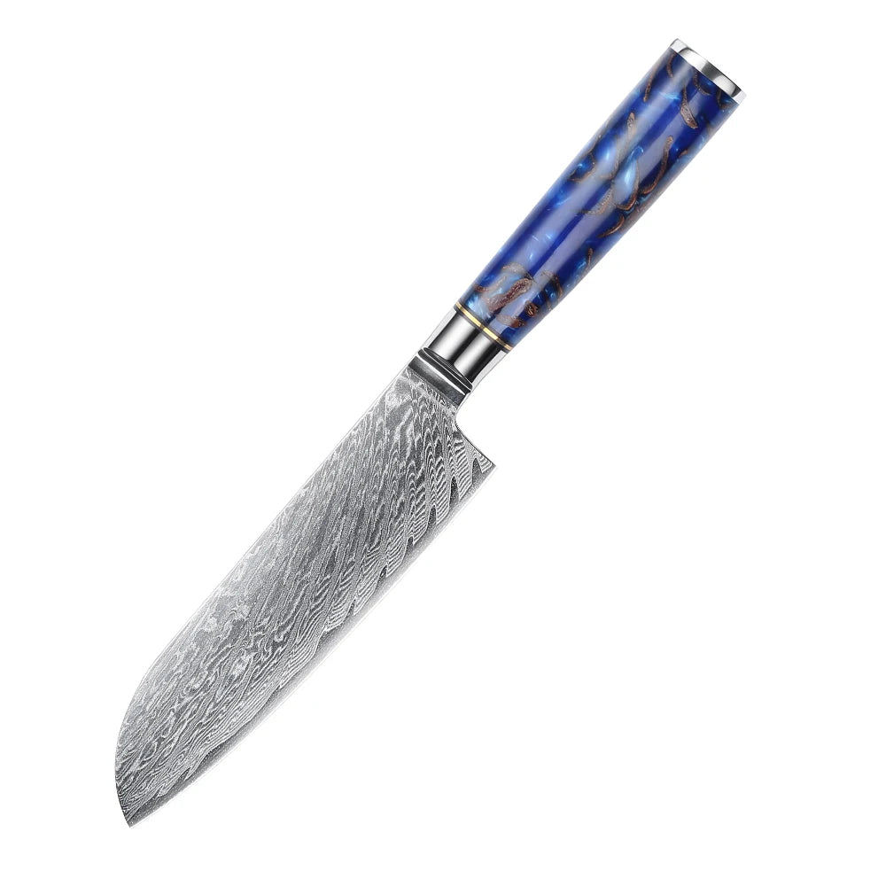 Professional 9PCS Japanese Damascus Steel Chef Knife Set 67 Layers VG10 Core Pinecone
