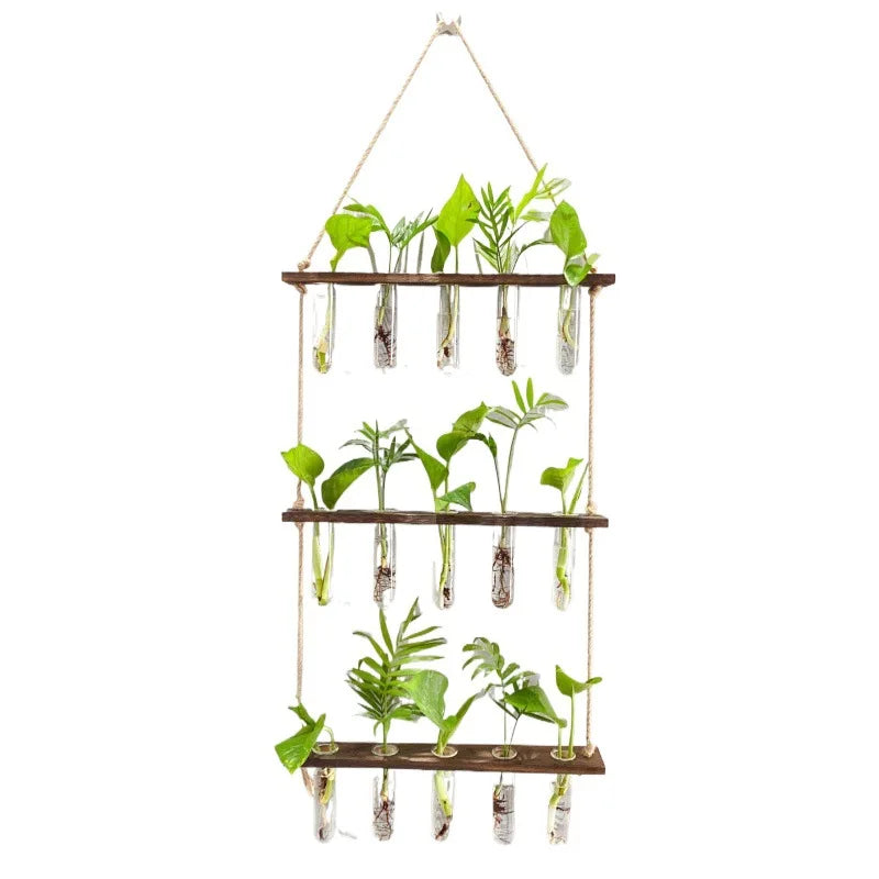 Wall Hanging Propagation Station with Wooden Stand 5 Glass Test Tubes 3 Tiered Wall