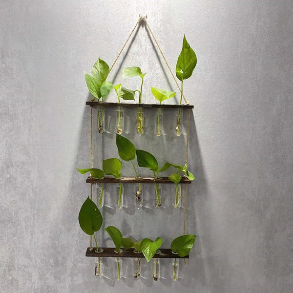 Wall Hanging Propagation Station with Wooden Stand 5 Glass Test Tubes 3 Tiered Wall