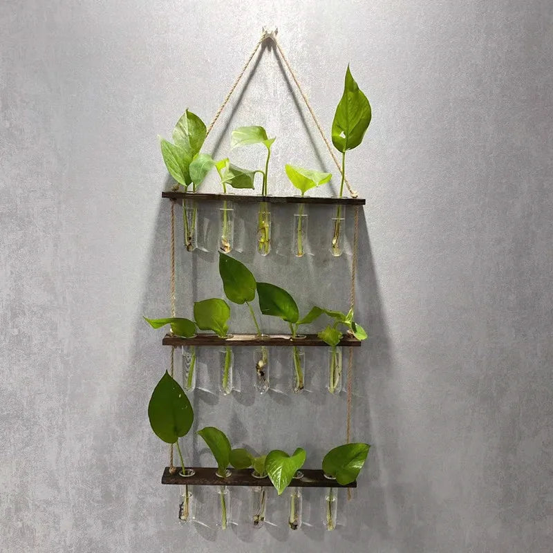 Wall Hanging Propagation Station with Wooden Stand 5 Glass Test Tubes 3 Tiered Wall