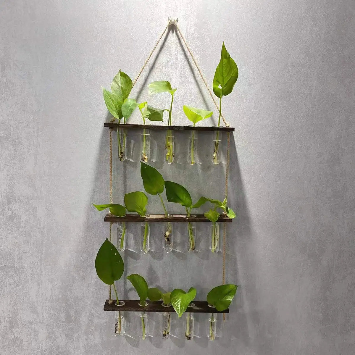 Wall Hanging Propagation Station with Wooden Stand 5 Glass Test Tubes 3 Tiered Wall