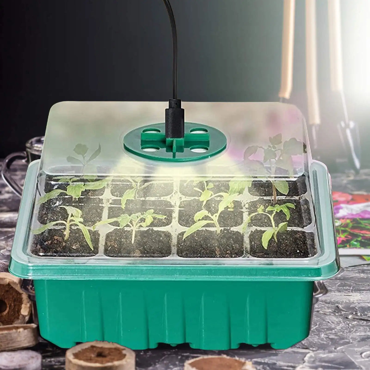 5Pack Seed Starter Tray With Grow Lights Seedling Kit Plant Humidity Domes Indoor